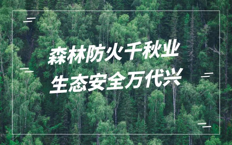 开云在线官方入口V5.1专业版
