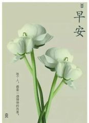 小熊洗车APP