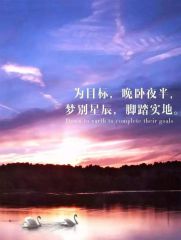 中国竞彩网app