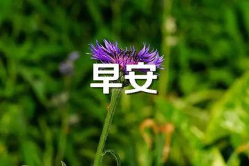 河南汽车维修平台APP