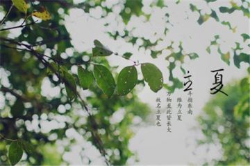 彩虹六号异种2025版REACT总部界面