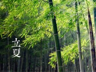 SP娱乐app 2025最新版 多人组队战斗