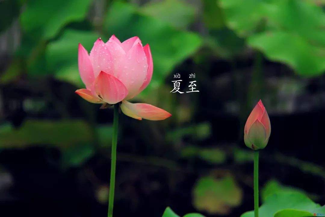 小熊洗车APP