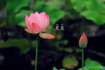 智诚万家商家新版