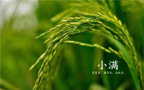 球吧网苹果下载