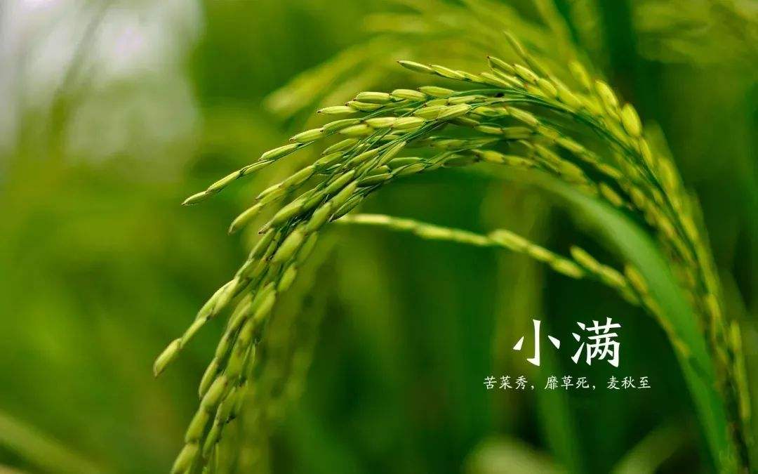 AG官方电子2025最新版英雄战斗画面