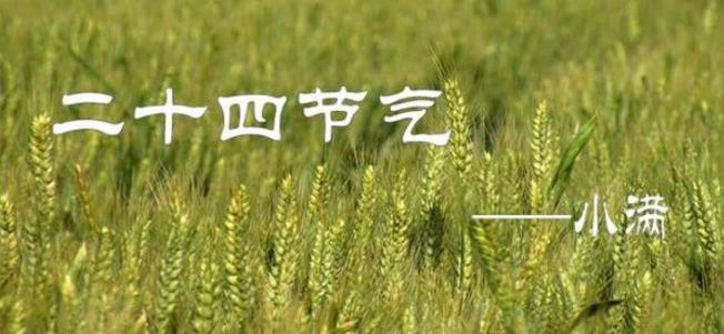 河南汽车维修平台APP