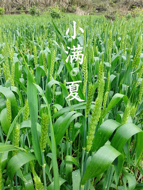 小熊洗车APP