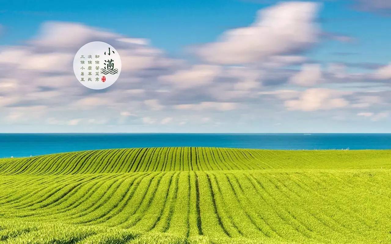 澳门国际休闲娱乐app2025版轻松治愈的游戏场景