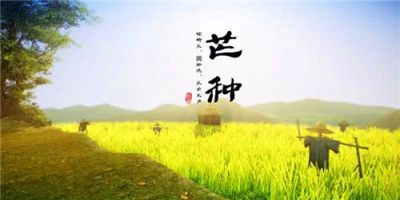 贵州药材APP
