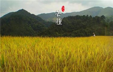 加拿大南宫28圈登录2025最新版武学战斗特效展示