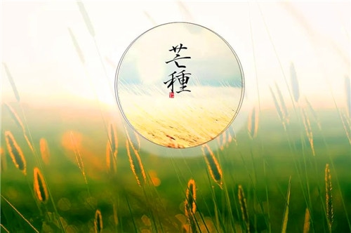 开云线上登录平台入口V3.2专业版