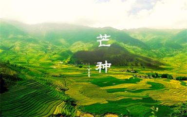 亚州彩票appV1.4专业版