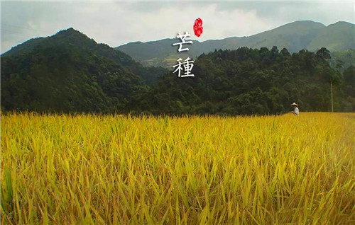 即胜体育app安卓版二维码