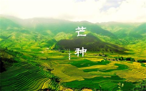 kaiyun官方登录入口