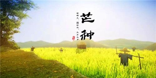小熊洗车APP