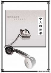 谷歌桌面搜索工具