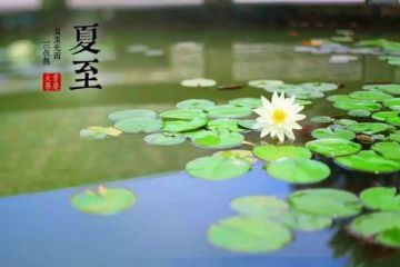 上禾佳商城