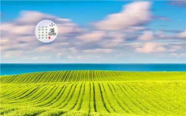《v体育官方下载》2025最新版大规模战斗场面