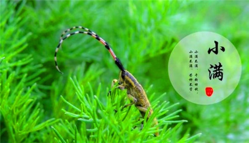 河南汽车维修平台APP