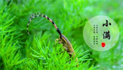 kaiyun开云官方在线注册V4.1专业版