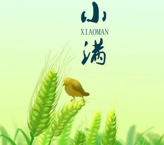贵州药材APP
