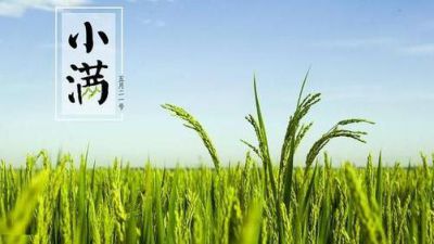 贵州药材APP