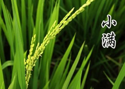 四通OKI MICROLINE 5100F针式打印机驱动