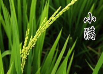 九游公会