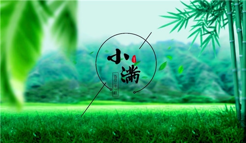 彩票官网登录V9.8专业版