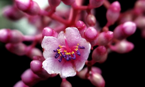 docpad记事本绿化版