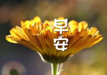 云开体育app官方下载链接V6.2专业版