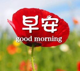 河南汽车维修平台APP