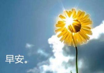 智控淘