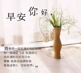 星空appapp