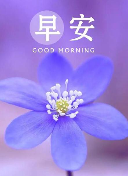 欧宝娱乐app安卓版二维码