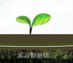 eman安卓版