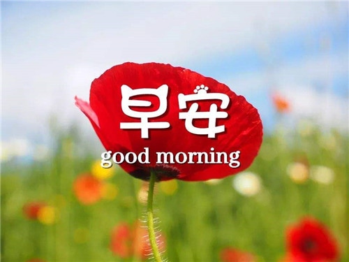 小熊洗车APP