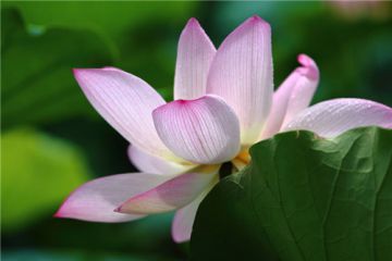 小熊洗车APP