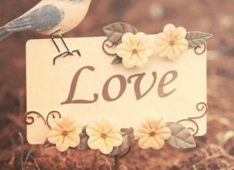 6966集团appV9.8专业版