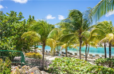 开云棋牌appV9.3专业版