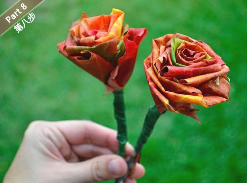 太阳2集团app 2025最新版 新区域北冥玄境