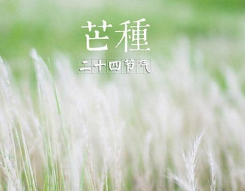 eman安卓版