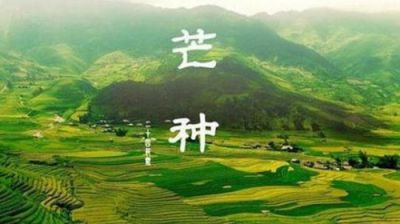 开云app手机登录V5.6专业版