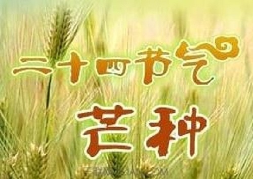 指环王冒险卡牌游戏2025最新版卡牌收藏与升级界面
