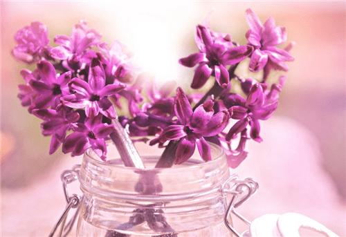 灵魂筹码2025版更新内容失落义庄地图概览