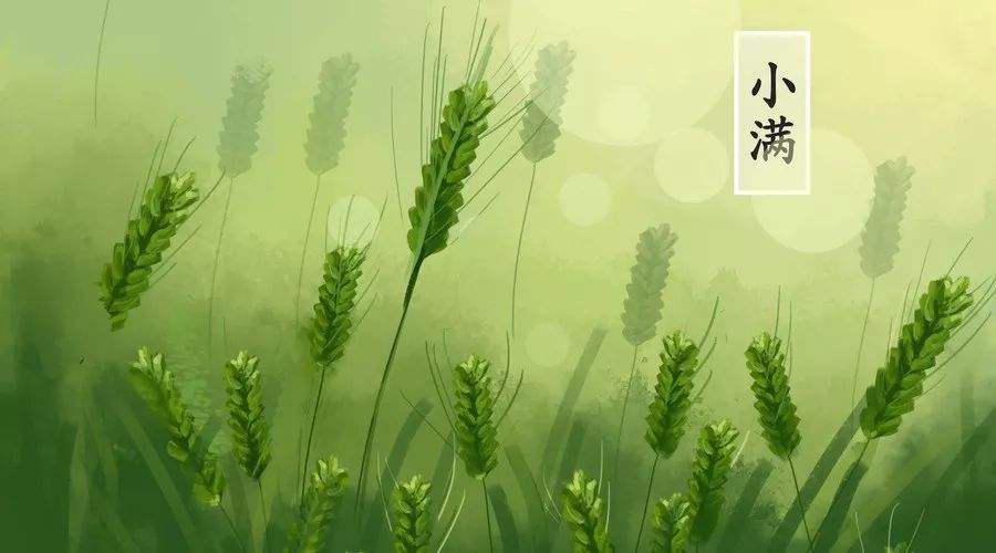 kaiyun.cn登录入口登录app2025最新版新神将陆压道人