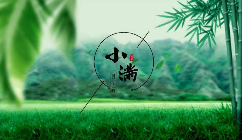 易我分区大师服务器版(Easeus Partition Master)