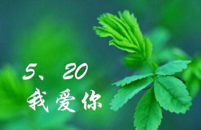 开云kaiyun官方网站入口V7.3专业版