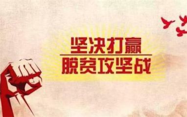 永乐网app安卓版二维码